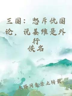 三国:怒斥仇国论,说姜维是外行