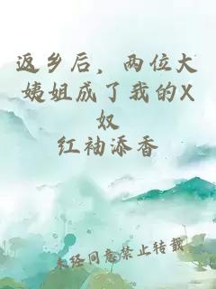 返乡后,两位大姨姐成了我的X奴