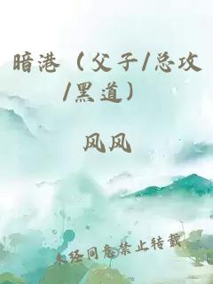 暗港（父子/总攻/黑道）